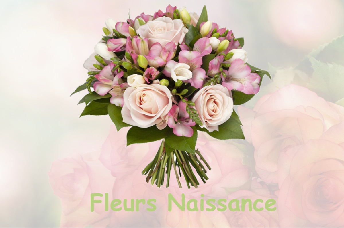 fleurs naissance ROYBON