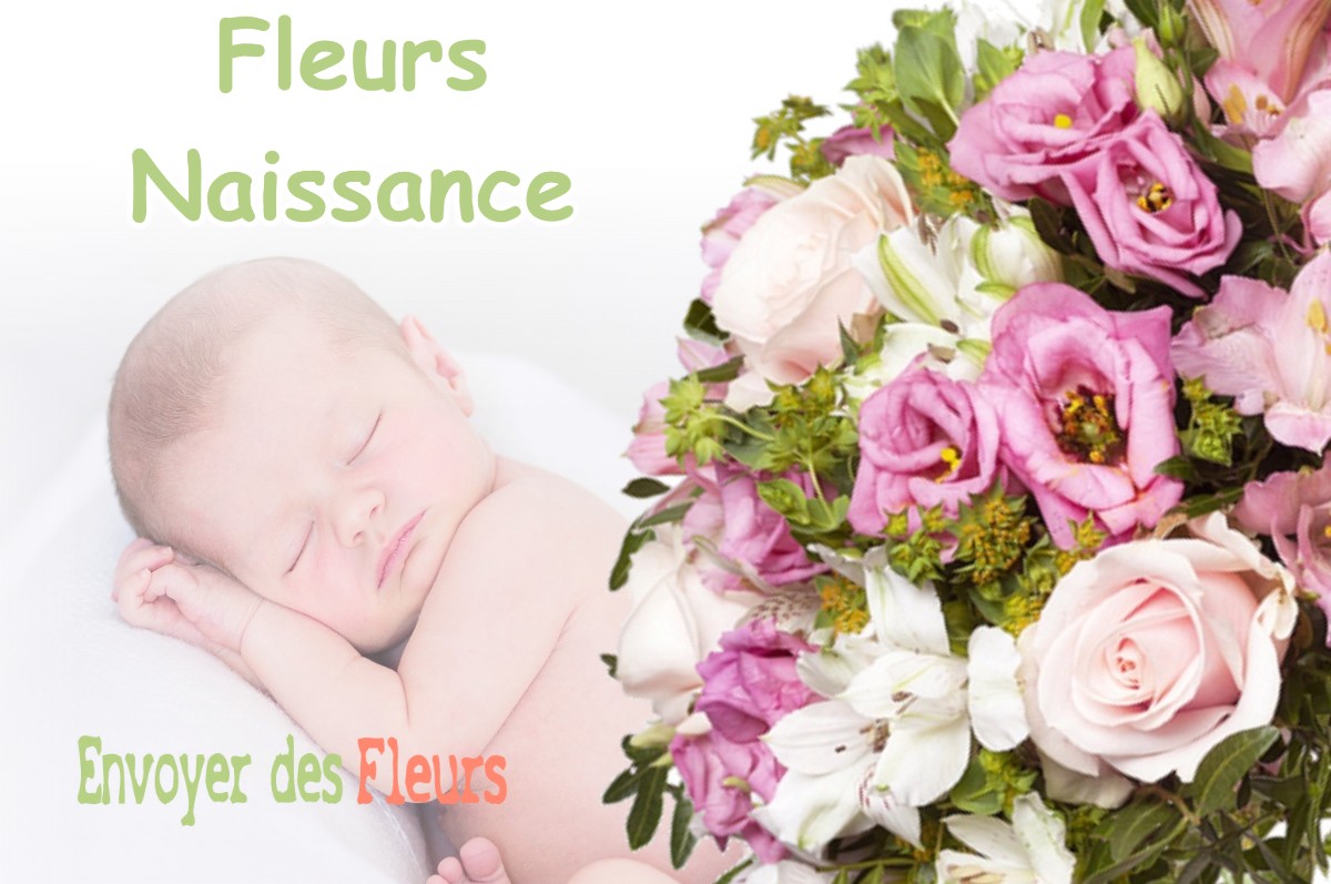 lIVRAISON FLEURS NAISSANCE à ROYBON